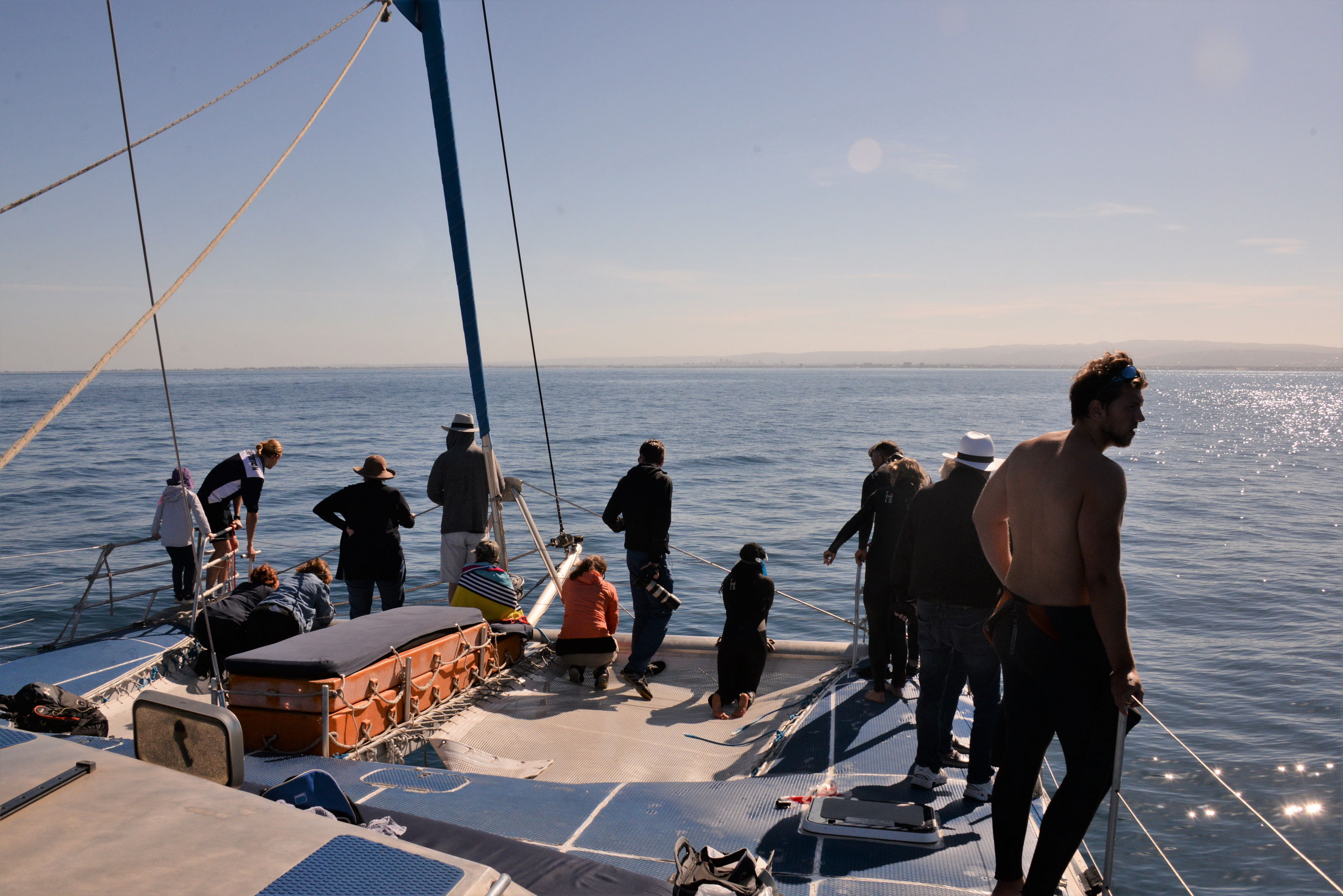 2019 12 07 09 13 41 NIKON D610 0016